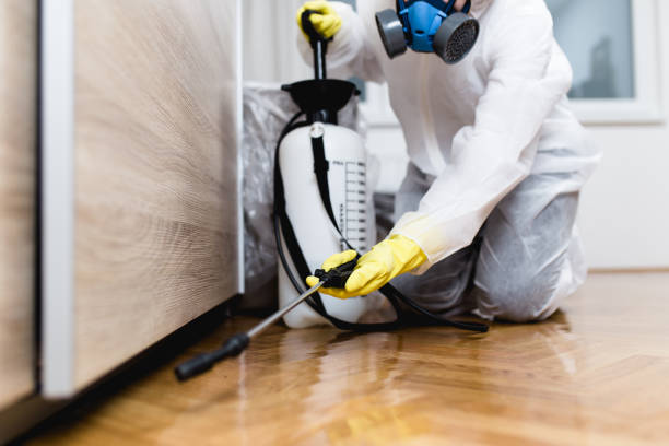 Best Commercial Pest Control Services  in West Simsbury, CT