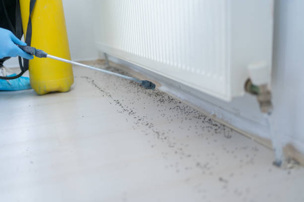 Best Affordable Pest Control Services  in West Simsbury, CT