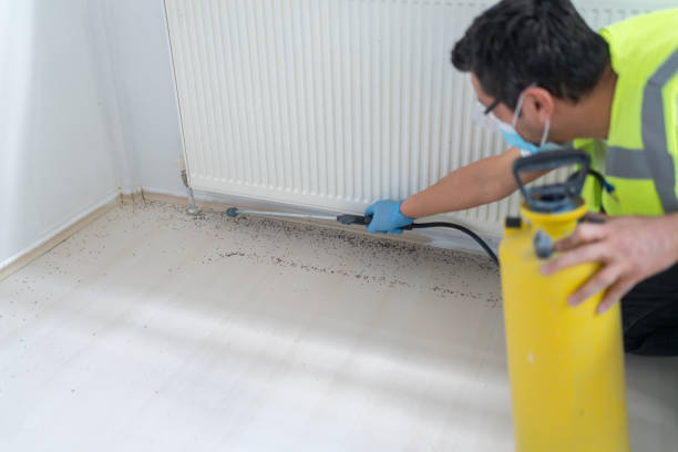 Best Emergency Pest Control  in West Simsbury, CT