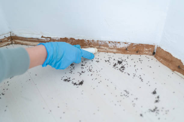 Best Pest Inspection Near Me  in West Simsbury, CT
